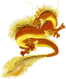 Gold sparkly dragon